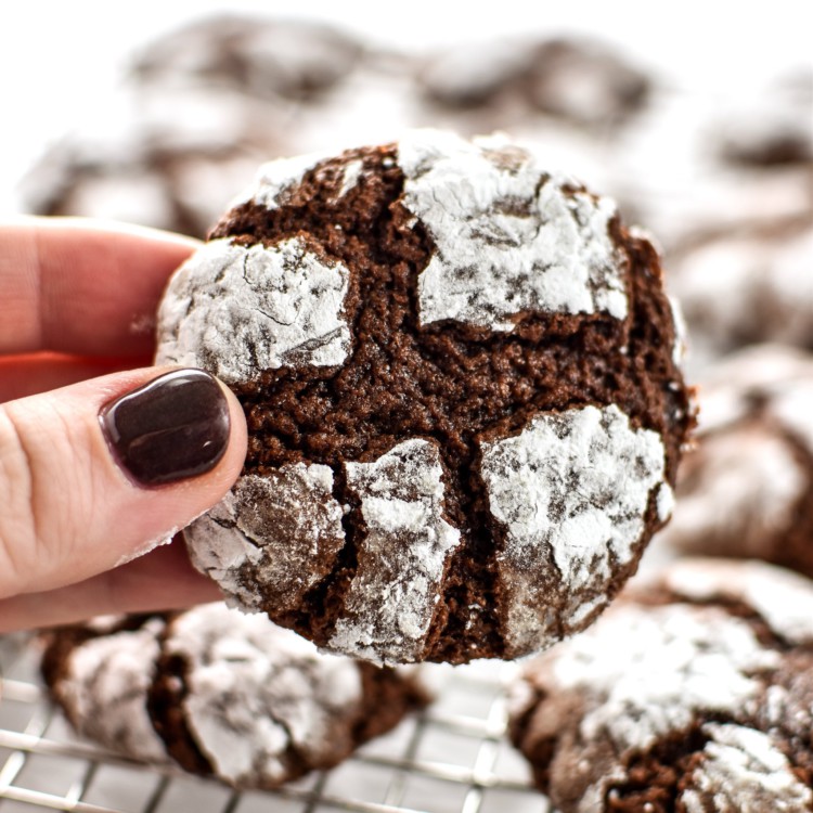 Classic Chewy Chocolate Crinkle Cookies - The chewiest, fudgiest, softest cookies that are rolled in powdered sugar and perfect for the holidays! - ProjectMealPlan.com