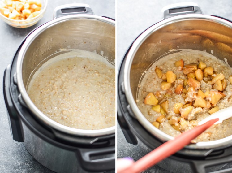 Instant Pot Cinnamon Apple Steel Cut Oats Project Meal Plan