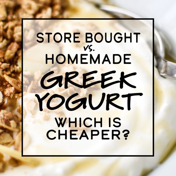 cover photo with text: store bought vs homemade Greek yogurt: which is cheaper?