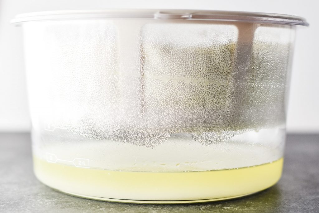 Store Bought vs. Homemade Greek Yogurt Which is Cheaper?