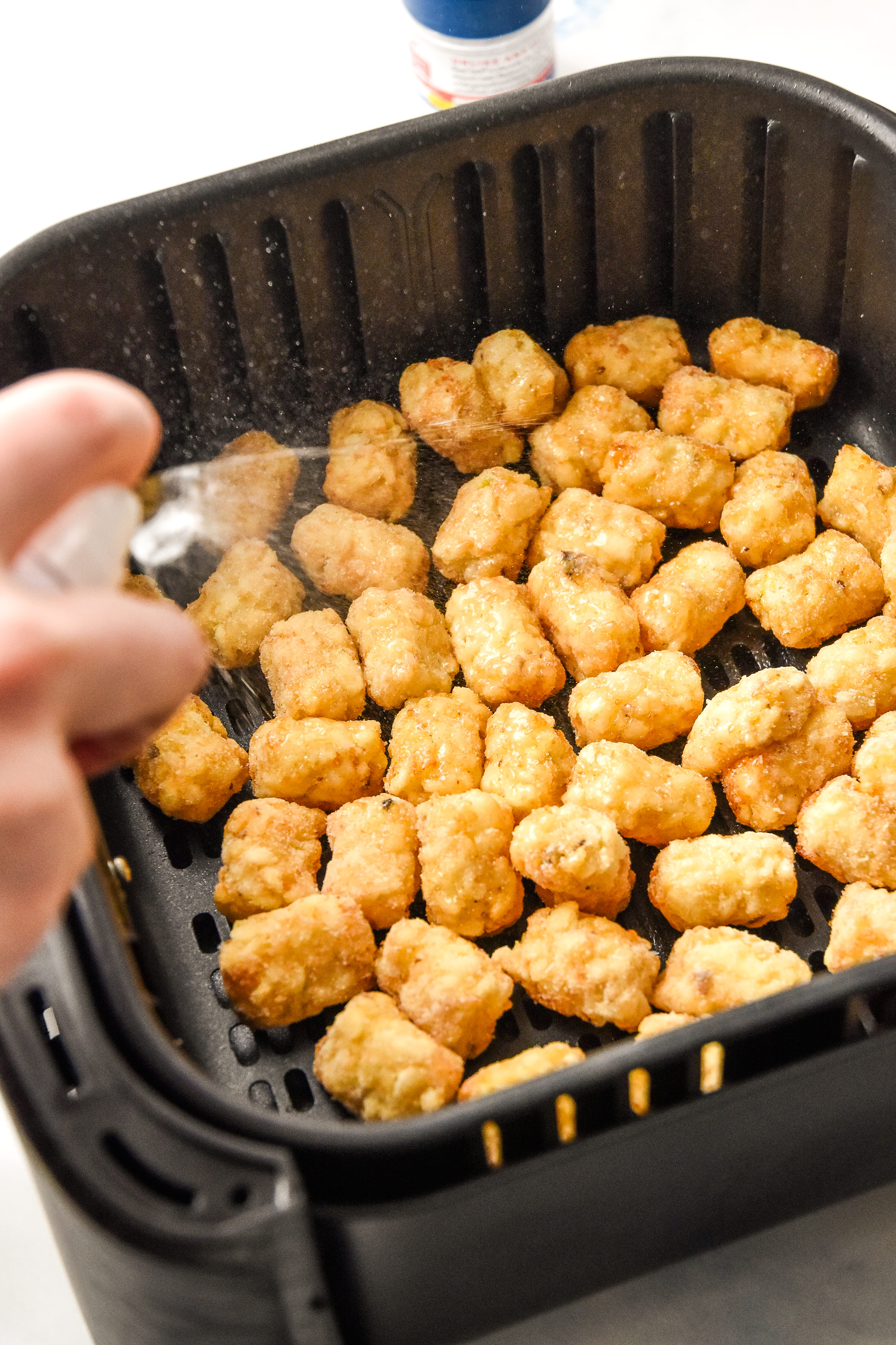 air fryer tater tots