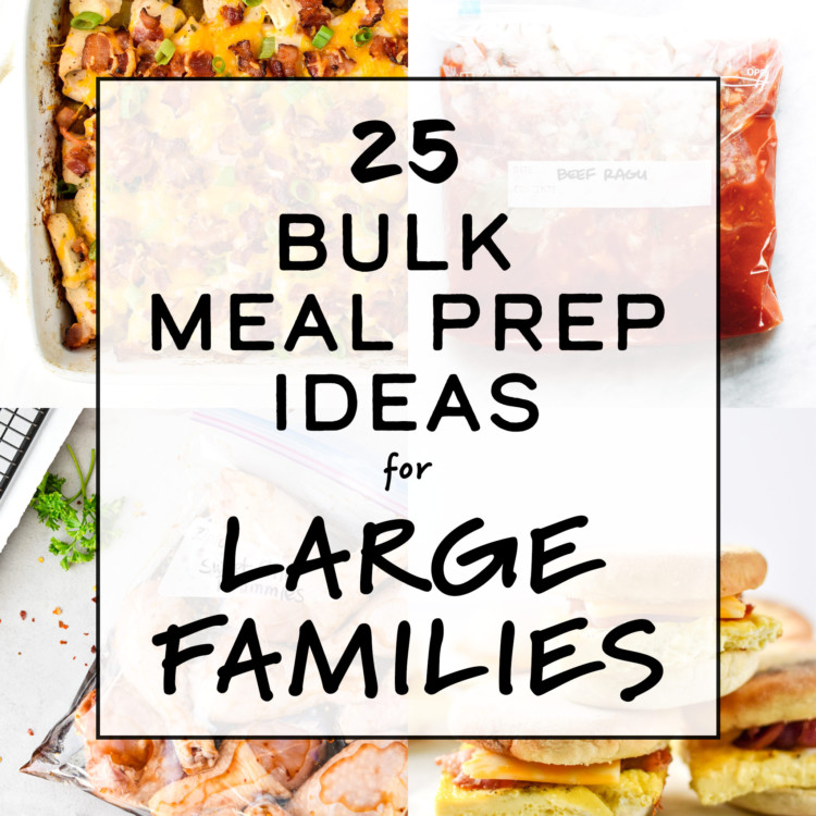 https://cdn5.projectmealplan.com/wp-content/uploads/2020/03/meal-prep-ideas-for-large-families-cover-750x750.jpg