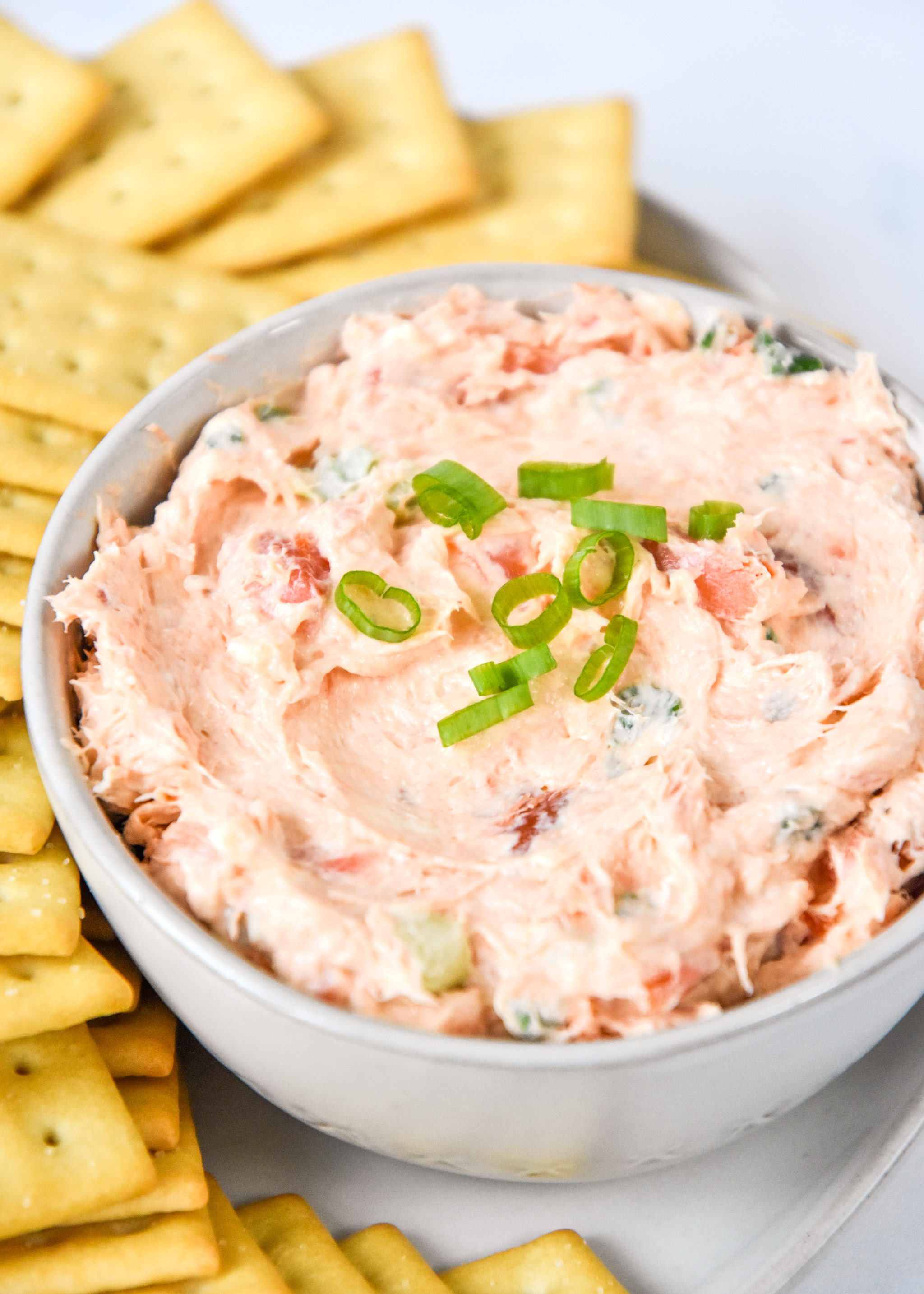 a bowl of hot smoked salmon cream cheese dip with green onion on top.