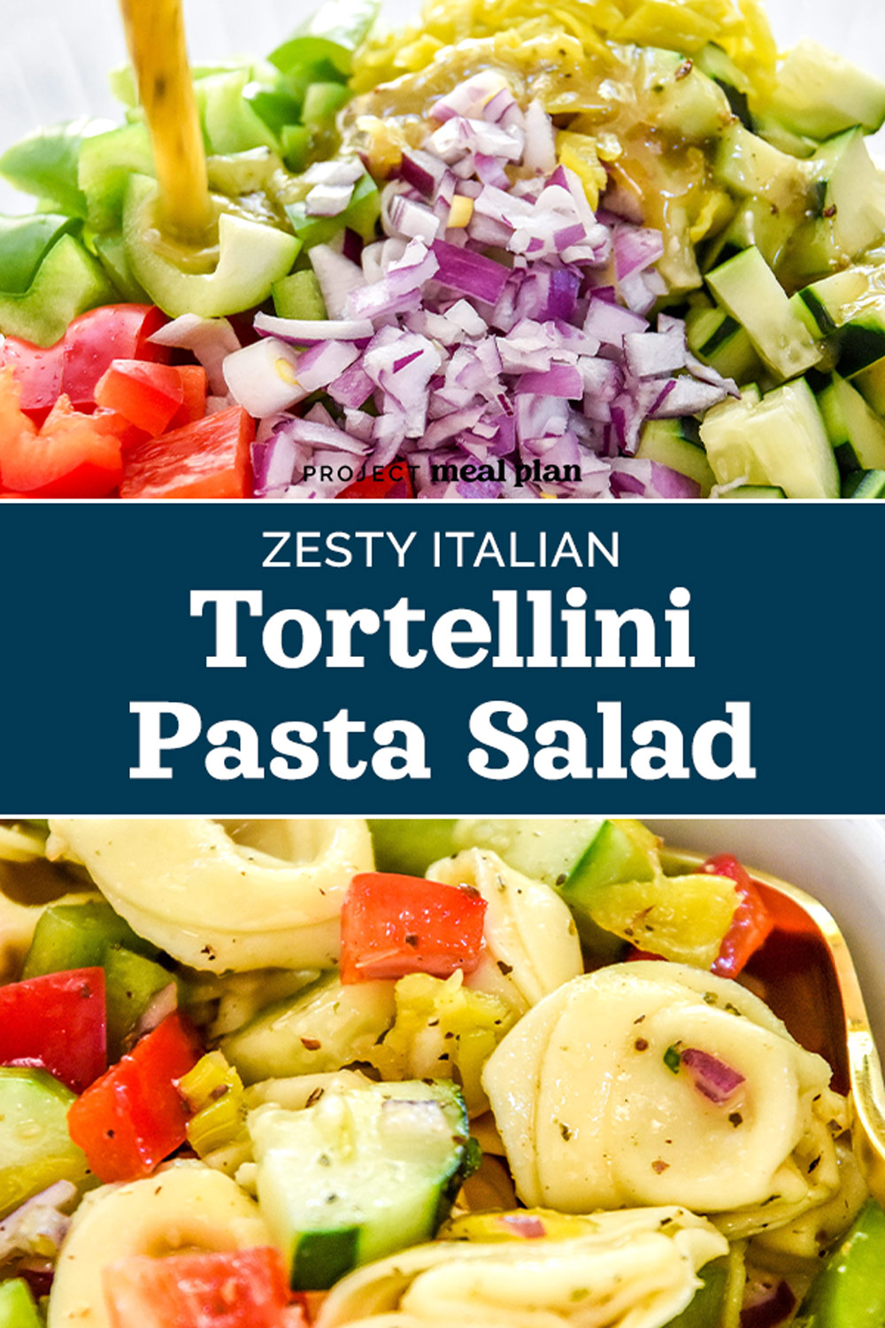 Zesty Italian Tortellini Pasta Salad - Project Meal Plan