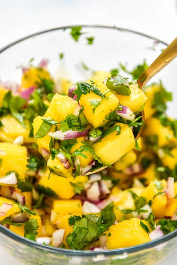 spoonful of mango salsa with cilantro and red onions.