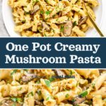 pin image with text for one pot creamy mushroom pasta.