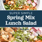 pin image with text for simple spring mix lunch salad.